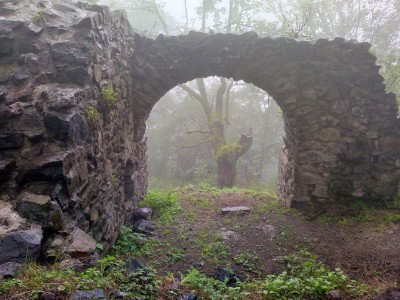 Arche